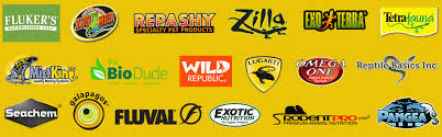 Check spelling or type a new query. Exotic And Unique Pet Store Pet Supplies Zoo Creatures New England
