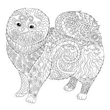 These tiny dogs used to be a small to medium breed that pulled sleds and kept an eye on cattle before they were miniaturized into companion dogs which. High Detail Patterned Pomeranian Dog Stock Vector Illustration Of Design Line 76093489