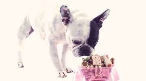 Wondering what the best food for french bulldogs is? Foods To Avoid For Bulldogs Petcarerx