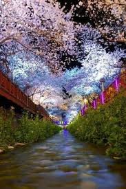Apr 20, 2020 · 1 10 lugares imprescindibles que visitar en corea. 10 Ideas De Sitios Turisticos De Corea Del Sur Corea Del Sur Corea Corea Del Sur Seul