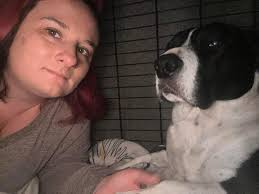 Hi all! 👋 Whitchurch based and drive 🚗 Pet sitter and walker and verified  and insured