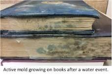 3.8 Emergency Salvage of Moldy Books and Paper — NEDCC
