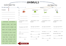 Movie Worksheet Animal Classification