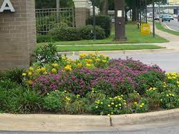 Purple Pentas And Yellow Lantana For The Front Flower Bed Outside Kids Window Front Flower Beds Xeriscape Yellow Lantana