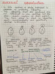 Reproduction Biology Notes Science Notes Mathematics Worksheets