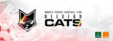 If you have seen a belgian cat or suspected belgian cat, please make your report in the for further information about the belgian cats and to see those with whom we are currently in contact. Belgian Cats Home Facebook