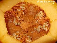 Cut the top off your pumpkin and scoop out all the pulp. Saving Pumpkin Seeds