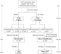 Frontiers Rapid Identification And Antimicrobial