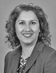 Meet your new Aurora Council