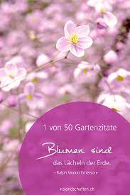 Gartenzitate Die Dich Inspirieren Irislandschaften Ch
