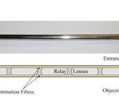 Laparoscope optics: rod lens system and eyepiece | Mostafa ...