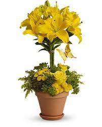 Hours may change under current circumstances San Angelo Florist Flower Delivery By Southwest Florist