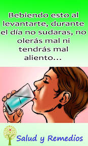 Marlene Vicente Roca (marlevicente)