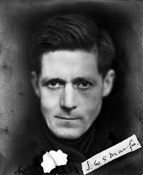 Free Vectors, PNGs, Mockups & Backgrounds