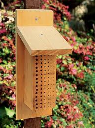 Bees Beekeeping101 Beesupplies Beeboxes Bee Keeping Diy Garden Projects Bee Hotel