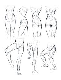 In an erect posture, you can place the pelvic bone (a narrower version of the head's egg), the shoulder and knee roughly on this vertical line. Kyle Petchock Art Sketchbook Human Anatomy Art Human Figure Drawing Human Anatomy Drawing