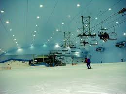 You can see reviews of companies by clicking on them. This Is An Indoor Ski Mountain In Dubai Outside It Is At Least 90 Degrees F But Ski Resort Ski Mountain Dubai