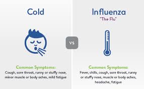 Cold Flu Gastroenteristis What Are The Differences
