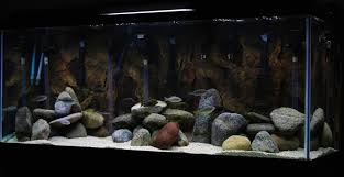 Videos Designs By Nature 3d Aquarium Backgrounds Aquarium Backgrounds Pond Rocks Nature 3d