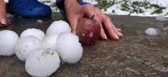 Check spelling or type a new query. Maltempo Confagricoltura Nuovi Gravi Danni Nei Campi Piemonte Ansa It