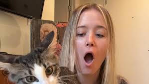 Amazon.com: INABA Churu Cat Treats, Grain-Free, Lickable, Squeezable Creamy  Purée Cat Treat/Topper with Vitamin E & Taurine, 0.5 Ounces Each Tube, 24  Tubes (4 per Pack), Chicken with Cheese Recipe : Pet