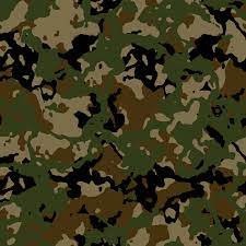 ✓ free for commercial use ✓ high quality images. Camouflage Camouflage Png Opengameart Org