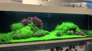 Maybe you would like to learn more about one of these? 56 Aquarium Gardens Ideas Aquarium Garden Aquarium Planted Aquarium