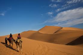 Free desert worksheets for kids. Algeria Worksheet Free Downloadable Geography Worksheets