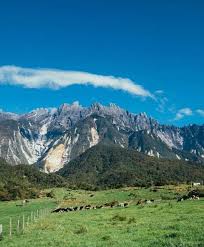 Agoda.com has been visited by 100k+ users in the past month Desa Cattle Dairy Farm Kundasang Photo By Mrspade85 Dairy Farms Natural Landmarks Kundasang