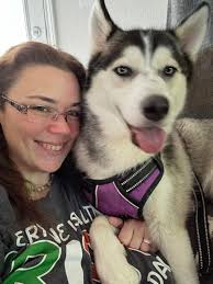 Do you know this big love bug?? Found in the area of Intervale St and  Bellevue Ave. If you have any information please contact Brockton Animal  Control 508-580-7835