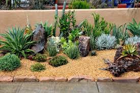 34 Sharp Cactus Garden Ideas Succulent Landscape Design Rock Garden Landscaping Succulent Garden Design