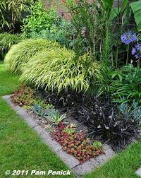 Pocket Bed This Would Be Good For Beds Surrounding The Vegetable Garden Japanese Forest Grass Shade Garden Plants Mondo Grass