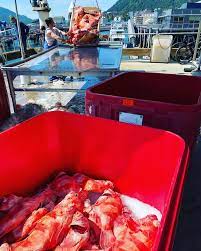 Se 358 objektiva omdömen av deckhand dave's, som fått betyg 5 av 5 på tripadvisor och rankas som nummer2 av 123 restauranger i dave och hans besättning är en bomb! Deckhand Dave S Fish Tacos Home Juneau Alaska Menu Prices Restaurant Reviews Facebook