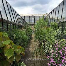 Bitte beachten sie unsere informationen angesichts der ausbreitung des coronavirus. Botanischer Garten Osnabruck Grunstes Ausflugsziel Der Domstadt