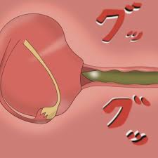 子宮断面図〜人×人、異種妊娠、受精、フィスト〜色々まとめ - RJ01420445 - Free Download | Free Download |  HentaiCovid.com | Hentai OVAs - Hentai Games - Hentai CGs - Hentai Mangas -  Hentai Voices