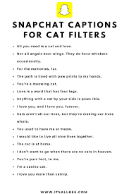 Cool Snapchat Quotes Captions Itsallbee Solo Travel Adventure Tips
