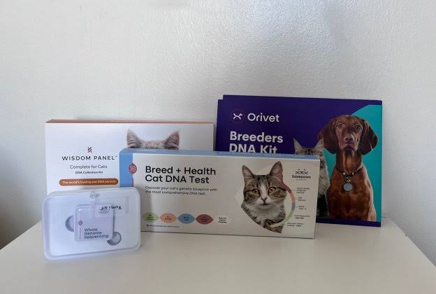 Figure 1: Standard high-quality commercial cat DNA test kits available for home use., AI generated
