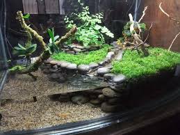 I Love The River Rock Wall Seems Easy To Make With Just A Little Silicone Turtle Terrarium Turtle Habitat Turtle Tank