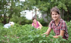 O metodă, rapidă, gratuită și confortabilă de a găsi un job printre 33.000+ locuri de muncă în românia și peste hotare. Angajari Muncitori Necalificati Femei Bucuresti