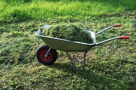 Every week she would come out and give us drinks and ask for her clippings to be dumped in the garden. 5 Beneficial Ways To Use Grass Clippings After Mowing Your Lawn The Seed Collection