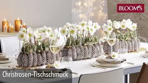 Alles natürlich einfach, schnell & günstig selber gemacht moin ihr lieben, weihnachten ist die beste zeit um danke zu sagen, danke für´s schauen, dabei sein u fan sein.für die vielen. Christrosen Tischschmuck Weihnachtsdeko Christmas Decoration Bloom S Floristik Youtube