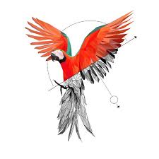 Geometrischer Papagei In 2020 Geometrisches Tier Geometrisch Papagei