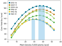 Corn Seeding Rate Considerations Pioneer Seeds