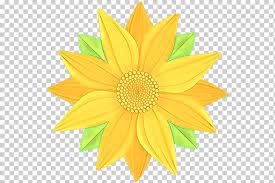 Telusuri galeri 15.289 gambar bunga matahari untuk desainmu. Bunga Matahari Kartun Kuning Kelopak Tanaman Keluarga Daisy Gazania Png Klipartz