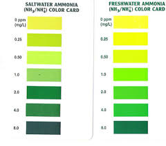 Up To Date Freshwater Ammonia Color Chart Freshwater Master