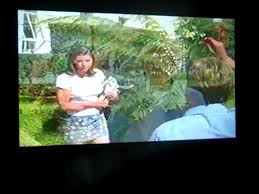 5.1 theatrical release 5.2 home video release december 7, 1999 15802 wowser! Opening To Inspector Gadget 1999 Vhs Video Dailymotion