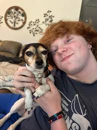 Grateful for lost cat's return in Walker County