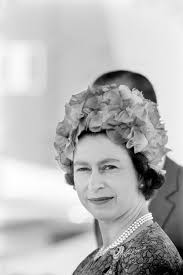 Senate before nevertheless, as an upperclassman, kennedy finally grew serious about his studies and began to. Kralovna Alzbeta A Princ Philip 73 Vyroci Svatby Co Dostali Blesk Cz