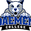 A spokesperson for blue origin told geekwire that daemen was a participant in last month's auction. 1