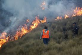Artículos, videos, fotos y el más completo archivo de noticias de colombia y el mundo sobre incendios forestales. Incendio Forestal En Ancash Arrasa 10 Hectareas De Pastizales Noticias Agencia Peruana De Noticias Andina